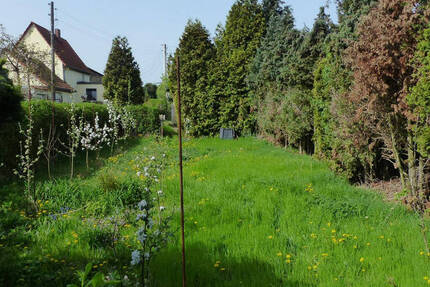 Grundstück Riesa Gröba - 15.900&euro; | Angebot:19289782