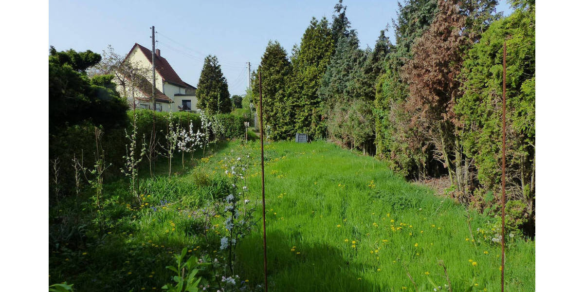 Grundstück Riesa Gröba - 15.900&euro; | Angebot:19289782