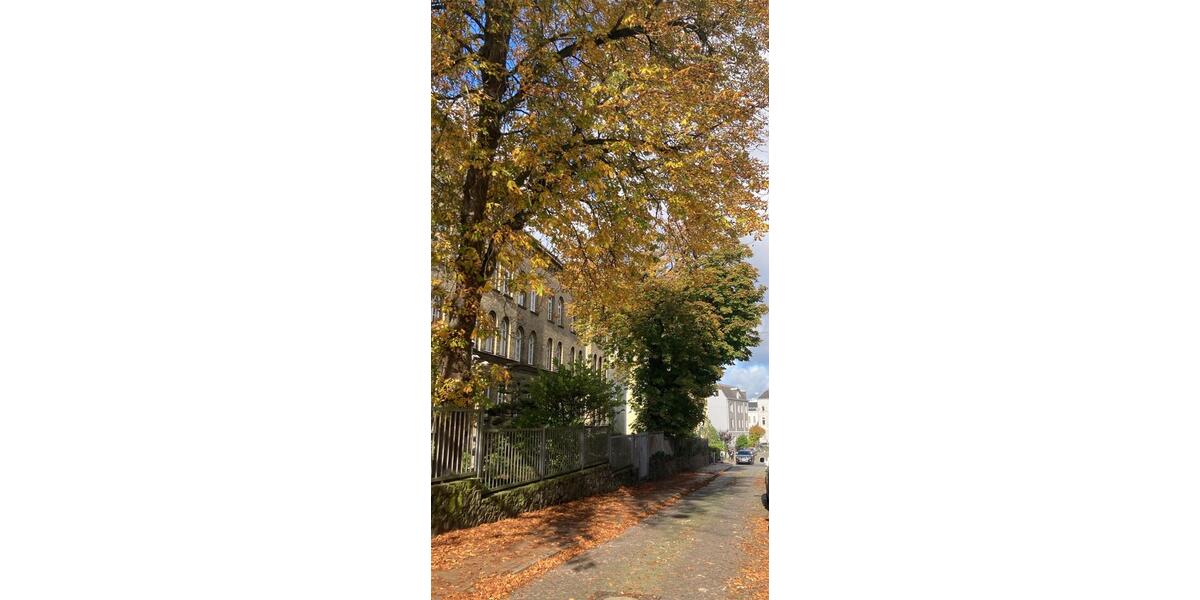 Hochparterre Flensburg Altstadt - 1 Zimmer, 45 m&sup2;, 640&euro; | Angebot:26326312