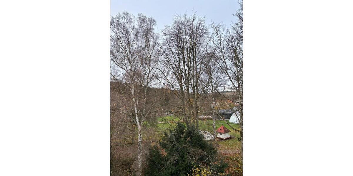 Etagenwohnung Bad Salzschlirf - 2 Zimmer, 36 m&sup2;, 75.000&euro; | Angebot:26535225