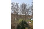 Etagenwohnung Bad Salzschlirf - 2 Zimmer, 36 m&sup2;, 75.000&euro; | Angebot:26535225