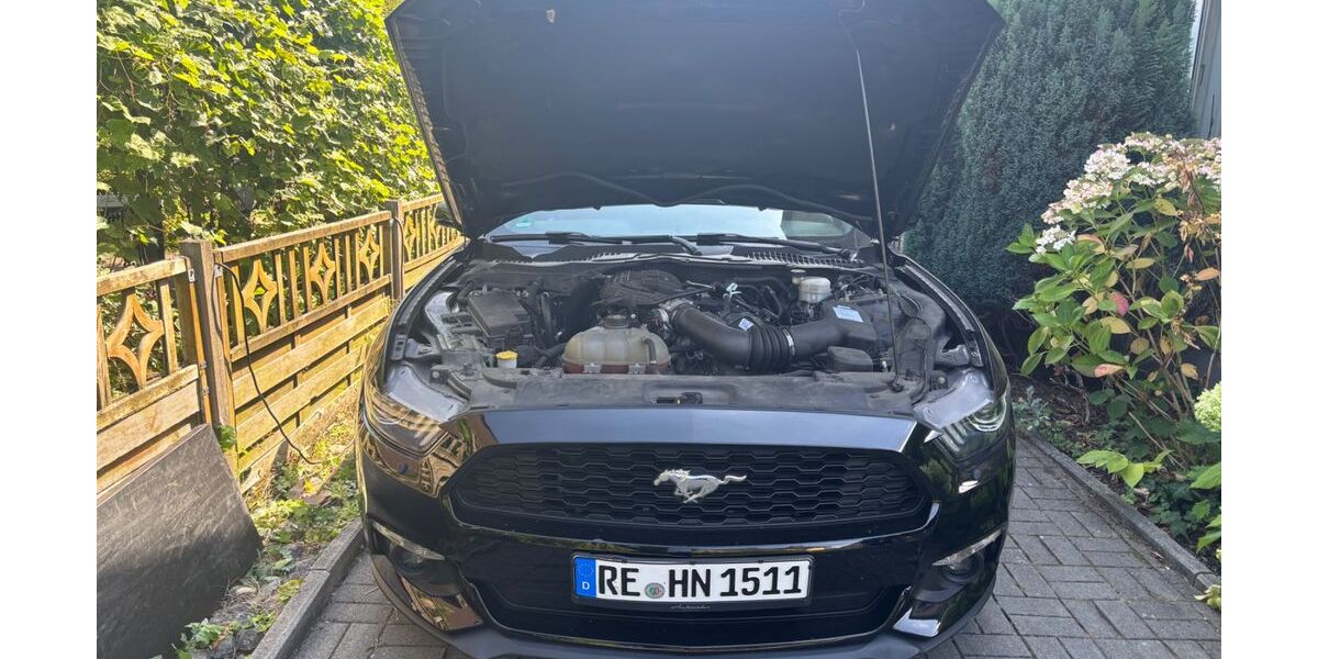 Ford Mustang 63.500 km 22.500 &euro; Marl 45772