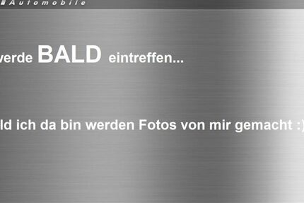 Skoda Fabia 3.500 km 18.690 &euro; Landau in der Pfalz 76829