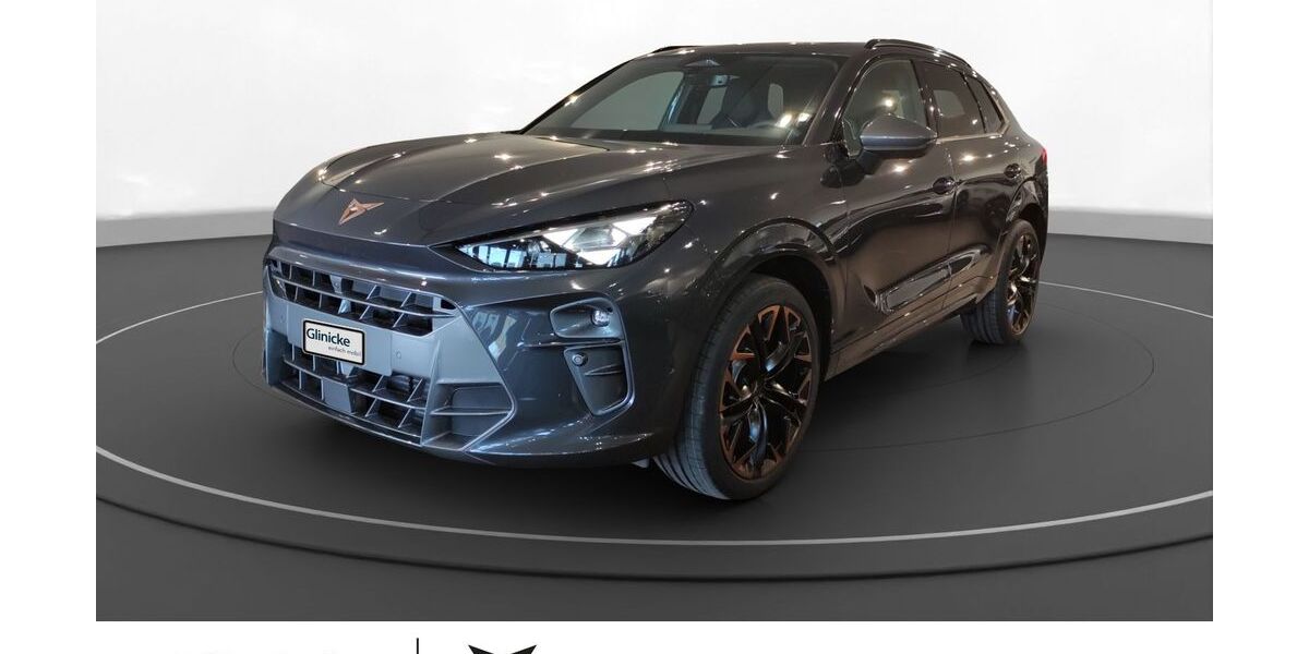 Cupra Terramar 9.900 km 44.990 &euro; Minden 32427
