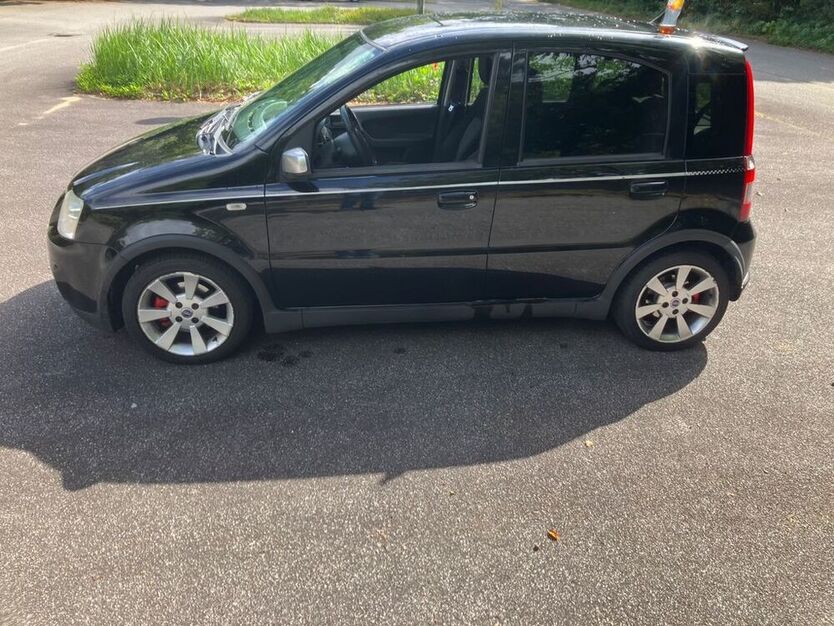 Panda
