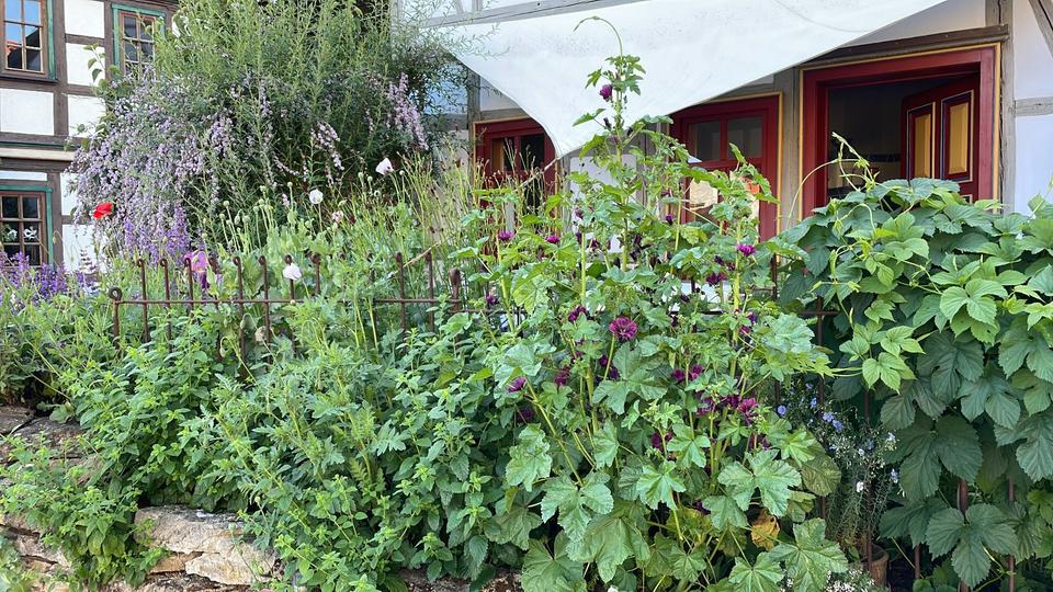 Mehrfamilienhaus, Wohnhaus Bad Liebenstein - 345.000&euro; | Angebot:25229415