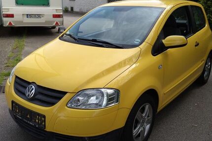 VW Fox
