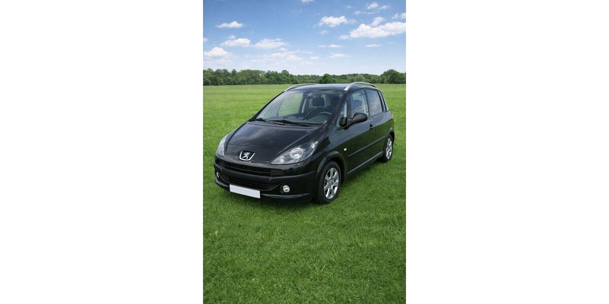 Peugeot 1007 134.000 km 4.290 &euro; Berlin 14167