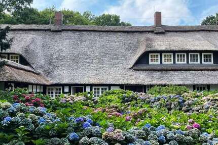 Haus Wildeshausen - 12 Zimmer, 700 m&sup2;, 2.400.000&euro; | Angebot:25203758