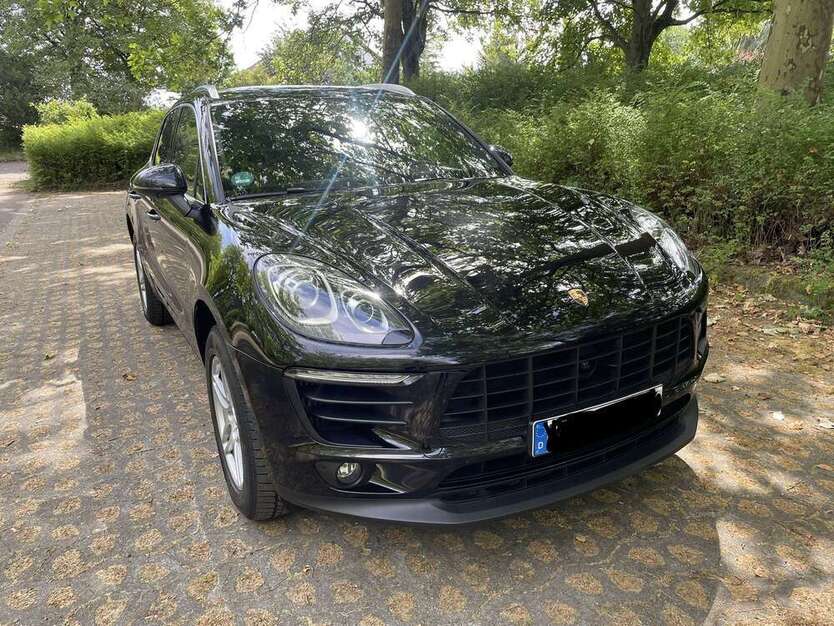 Macan