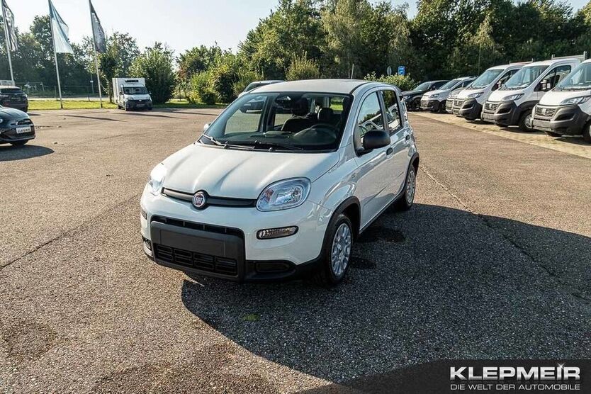 Panda