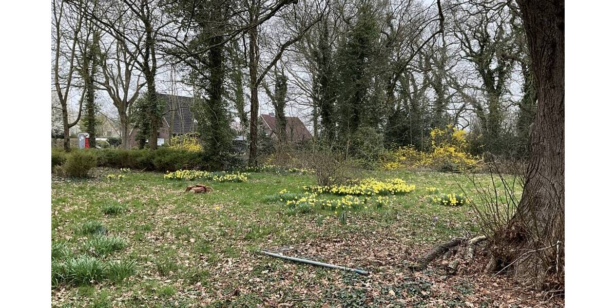 Mehrfamilienhaus, Wohnhaus Rastede Bekhausen - 4 Zimmer, 140 m&sup2;, 295.000&euro; | Angebot:26189574