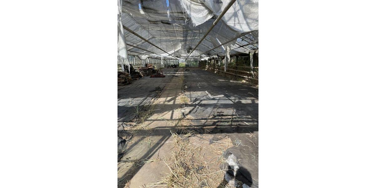 Grundstück Hamburg Wandsbek - 2.500&euro; | Angebot:25881463