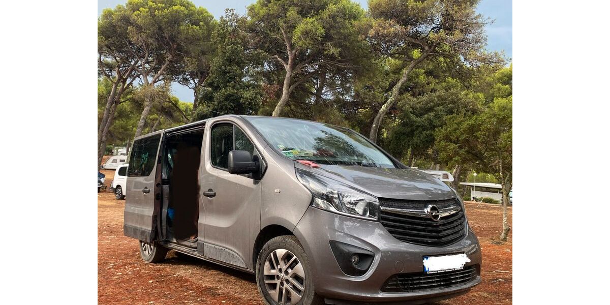 Opel Vivaro 191.000 km 11.000 &euro; Mössingen 72116