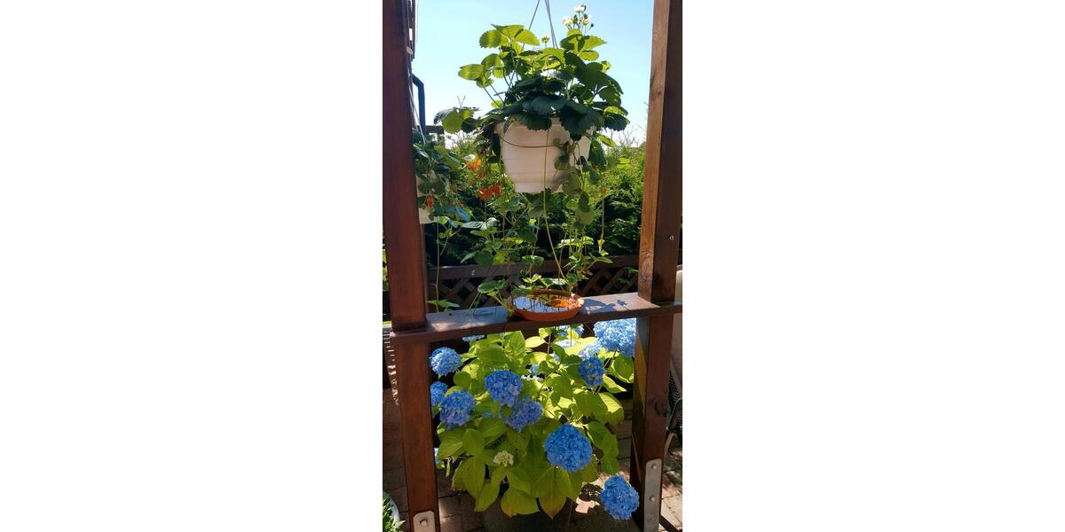 Mehrfamilienhaus, Wohnhaus Neuhaus (Oste) - 7 Zimmer, 220 m&sup2;, 450.000&euro; | Angebot:27224965