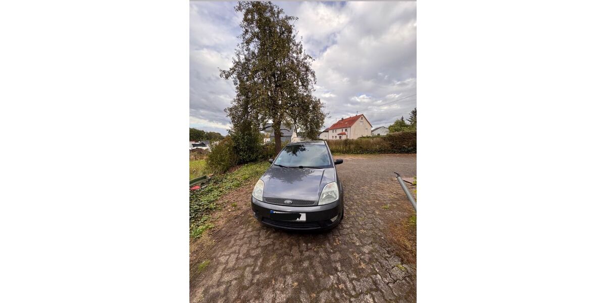 Ford Fiesta 224.000 km 1.300 &euro; Steinebach 57520