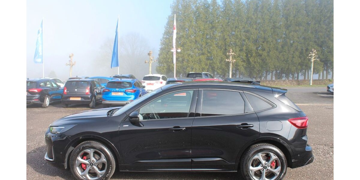 Ford Kuga 19.700 km 31.990 &euro; Speicher 54662