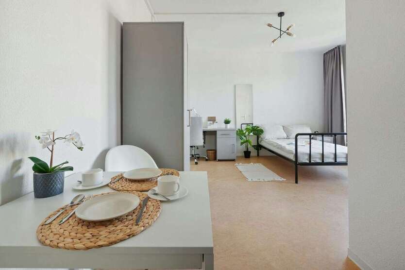 Wohnen auf Zeit in Dresden 729 € 1 zimmer