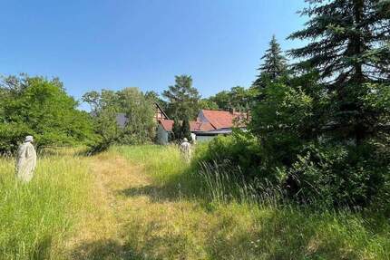 Grundstück Kemberg Gniest - 500.000&euro; | Angebot:25999317