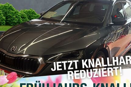 Skoda Octavia 135.932 km 18.416 &euro; Schmalkalden 98574