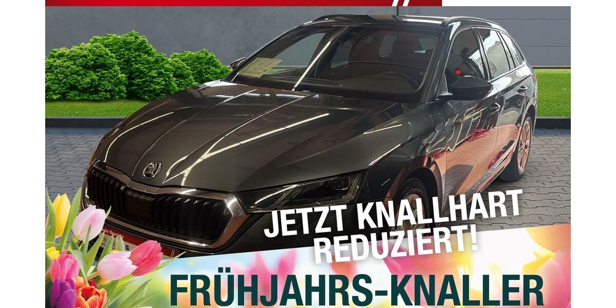 Skoda Octavia 135.932 km 18.416 &euro; Schmalkalden 98574