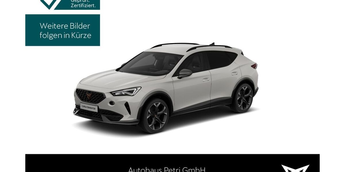 Cupra Formentor 21.683 km 31.540 &euro; Hofheim-Diedenbergen 65719