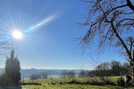 Grundstück zu verkaufen in Much 299.000 € 822 m² zimmer