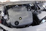 Mondeo