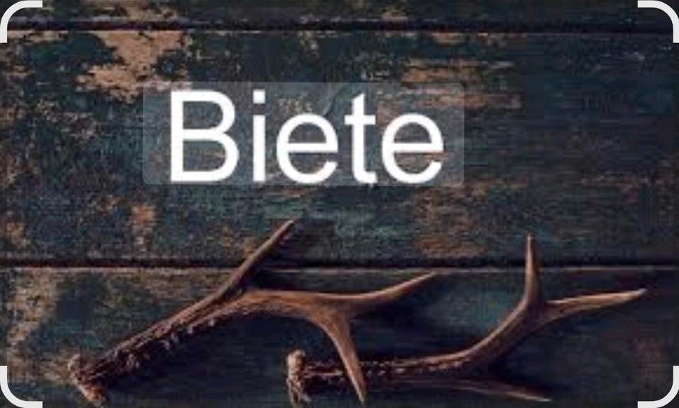 Etagenwohnung Remseck am Neckar - 3 Zimmer, 63 m&sup2;, 850&euro; | Angebot:25993675