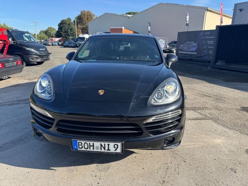 Cayenne