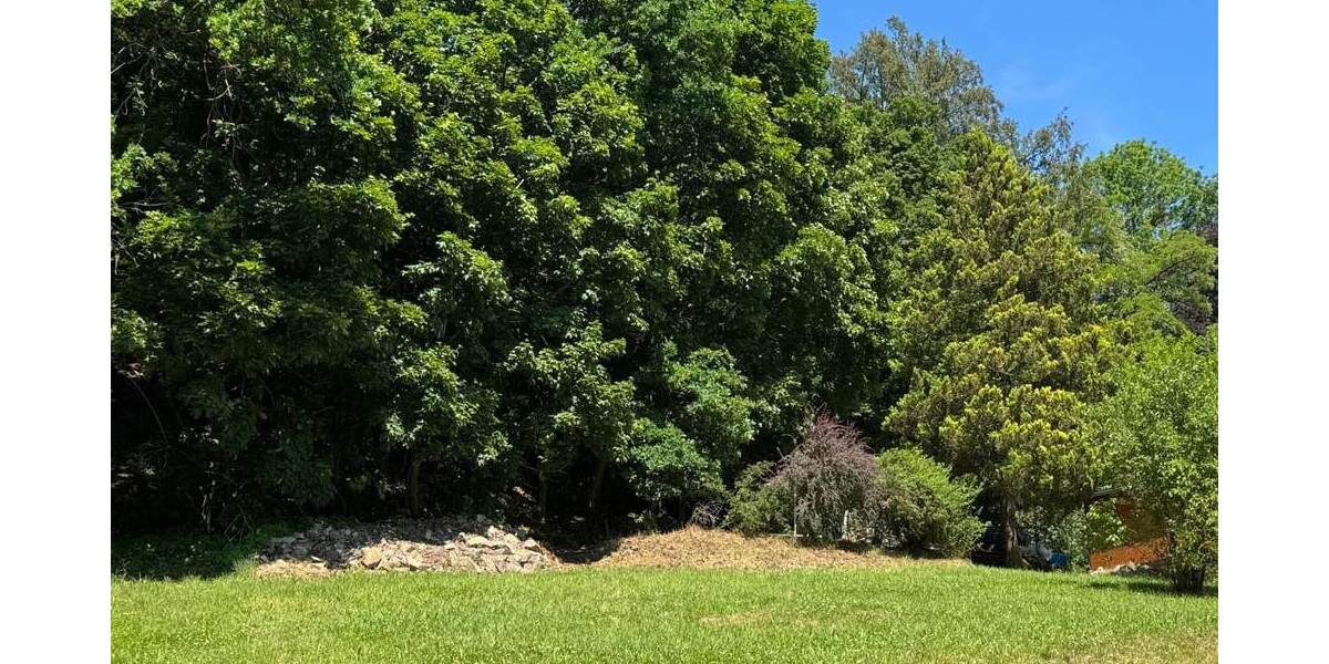 Teilsaniertes 2- Familienhaus mit Ausbaureserve und großem Grundstück in ruhiger Lage! - Zweifamilienhaus Waldheim | Angebot:26905386