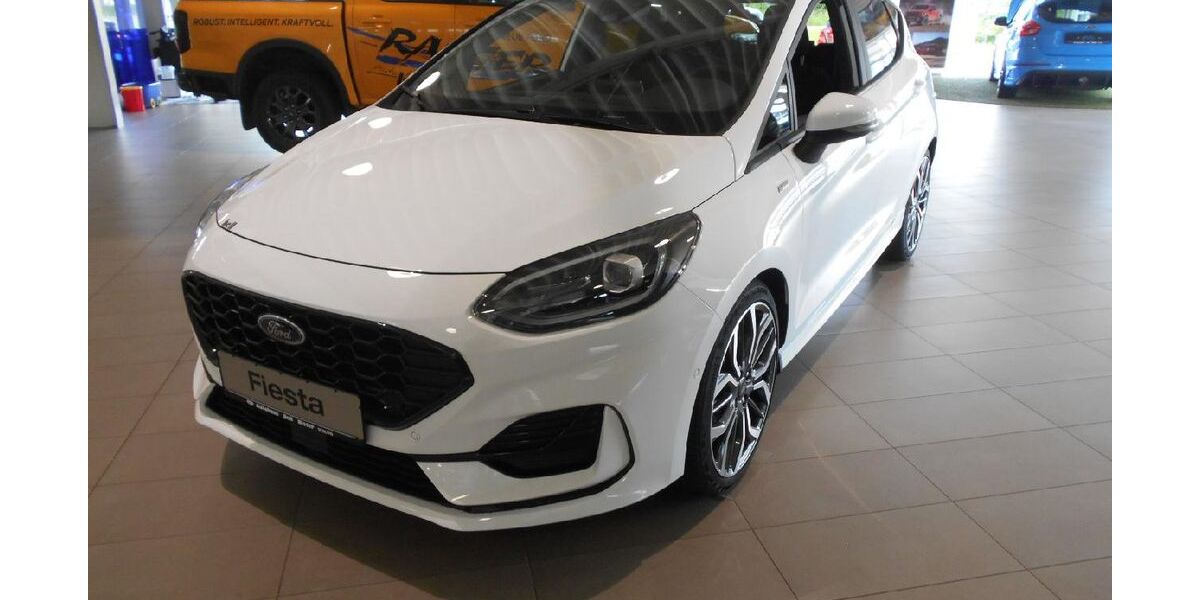 Ford Fiesta 10.000 km 22.490 € Nister 57645