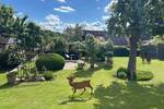 Einfamilienhaus Bordesholm - 5 Zimmer, 115 m&sup2;, 629.000&euro; | Angebot:26885987