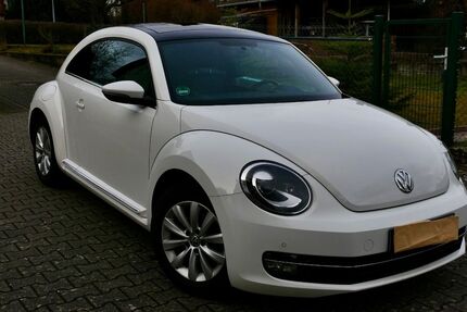 VW Beetle 163.000 km 7.300 &euro; Bad Sobernheim 55566