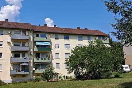 Zimmer Landau in der Pfalz Kernstadt - 350&euro; | Angebot:26658215