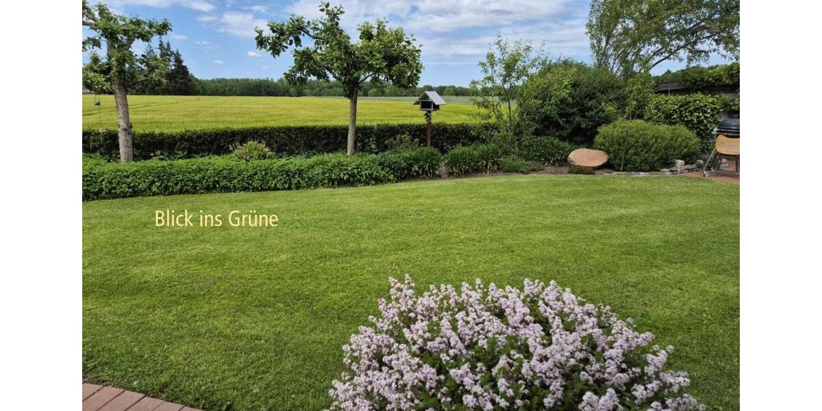 Einfamilienhaus Haselünne - 8 Zimmer, 225 m&sup2;, 475.000&euro; | Angebot:26006118