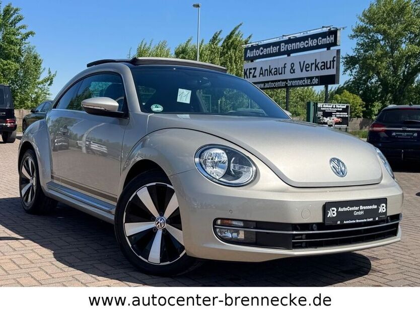 Beetle