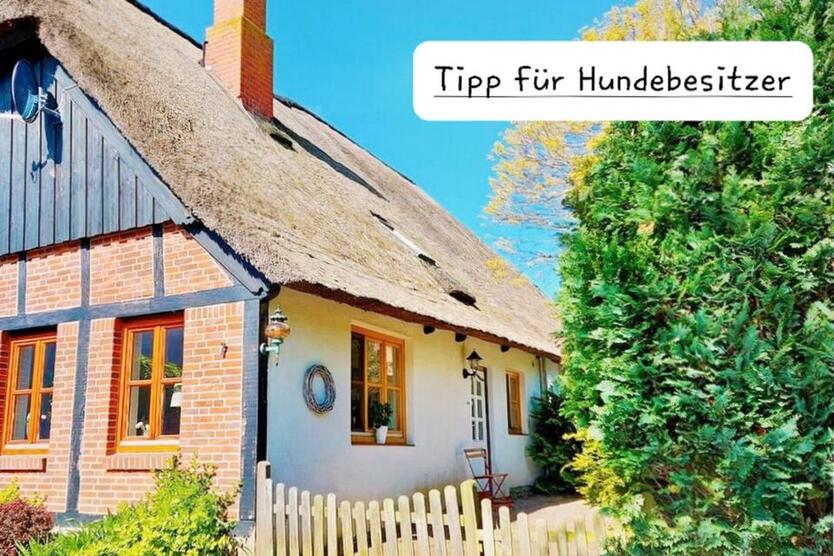 Insel-Reetkate auf Fehmarn mit Hund, inkl. kostenloser Nutzung von Pool und Sauna, Ferienhaus, Last Minute FerienWohnung Meer Ostsee Lübecker Bucht Schleswig Holstein, mit Kindern, Hundeurlaub