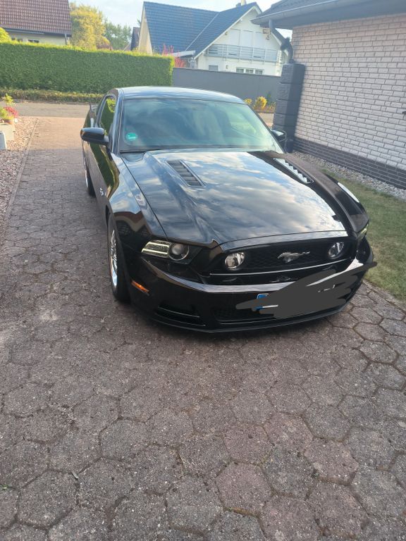 Mustang