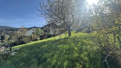 IDYLLE IN NATUR UND STADT - Grundstück Bühlertal | Angebot:27418380