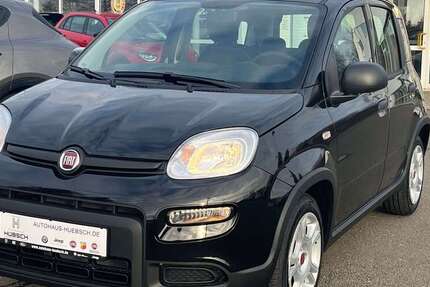 Fiat Panda 1.500 km 14.590 &euro; Chemnitz 09130