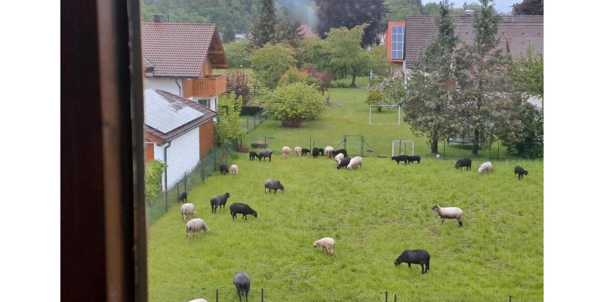Dachgeschoßwohnung Schongau - 2 Zimmer, 65 m&sup2;, 269.000&euro; | Angebot:26824426