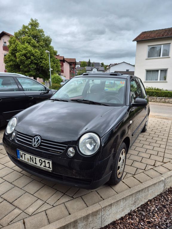 Lupo