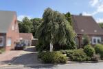 Doppelhaushälfte Husum - 4 Zimmer, 92 m&sup2;, 250.000&euro; | Angebot:27158270