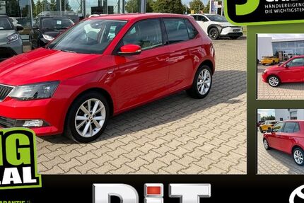 Skoda Fabia 98.610 km 9.990 € Magdeburg 39120