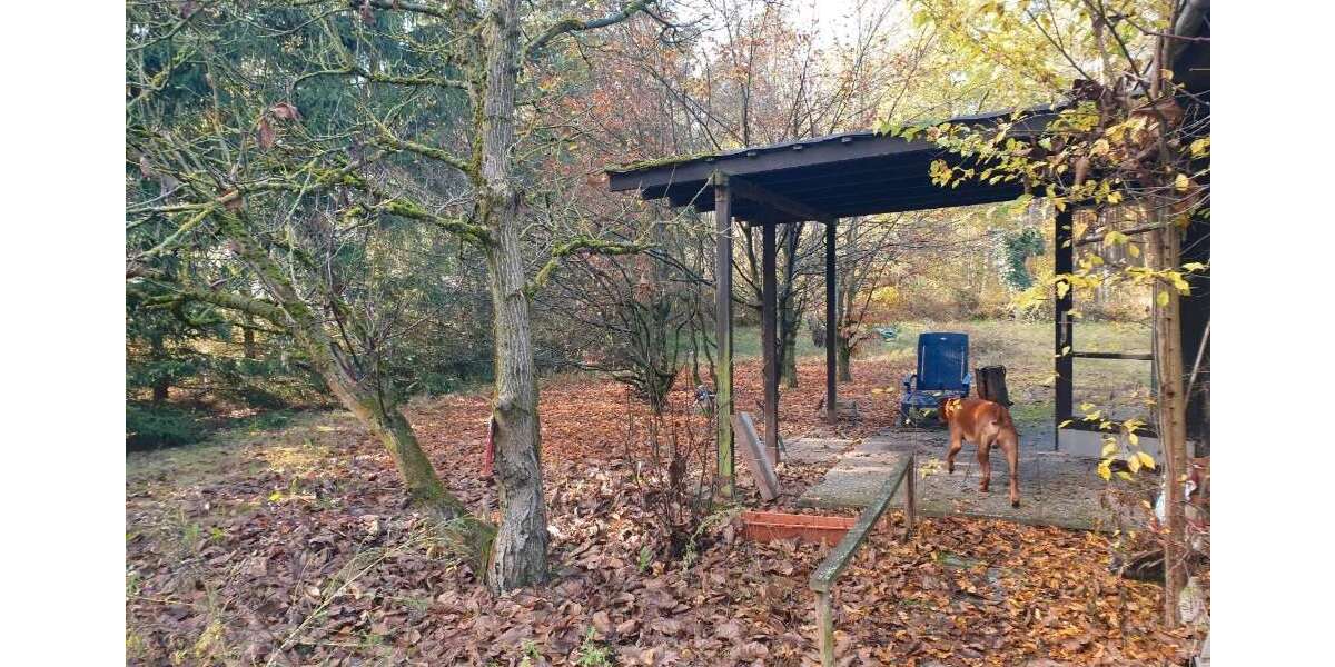 Grundstück Rehfelde - 259.000&euro; | Angebot:26367503