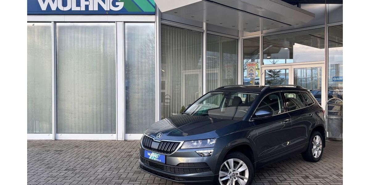 Skoda Karoq 94.300 km 18.990 &euro; Lohne 49393
