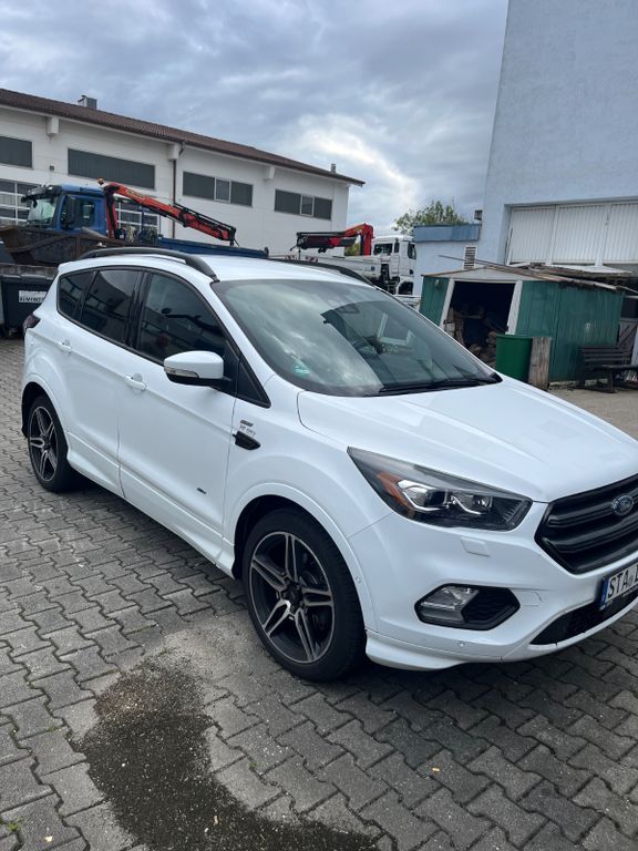 Kuga