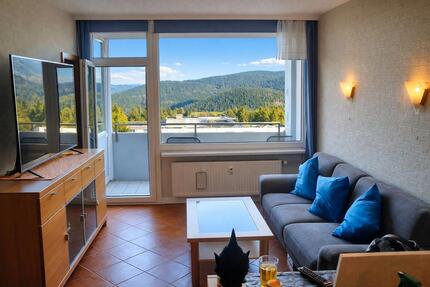 Wohnung Goslar OS Hahnenklee-Bockswiese - 3 Zimmer, 49 m&sup2;, 48.000&euro; | Angebot:26934041