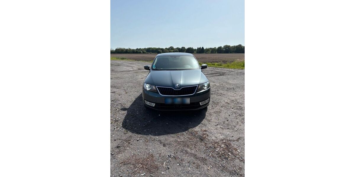 Skoda Rapid 91.856 km 9.500 &euro; Rheine 48432
